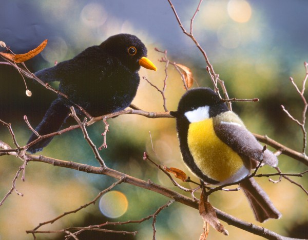 Kösener 5820 - Amsel Türilü 19 cm