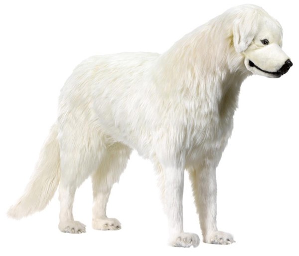 Anima Pyrenäen Berg Hund Belle stehend 140cm Lang 90cm Hoch in Lebensgröße auch Sitz