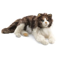 Vorschau: Wuschelige Katze / Ragdoll Cat 2558 Folkmanis Puppet Vorschau: Wuschelige Katze / Ragdoll Cat 2558 Folkmanis Puppet