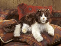 Vorschau: Wuschelige Katze / Ragdoll Cat 2558 Folkmanis Puppet Vorschau: Wuschelige Katze / Ragdoll Cat 2558 Folkmanis Puppet