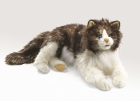 Vorschau: Wuschelige Katze / Ragdoll Cat 2558 Folkmanis Puppet Vorschau: Wuschelige Katze / Ragdoll Cat 2558 Folkmanis Puppet